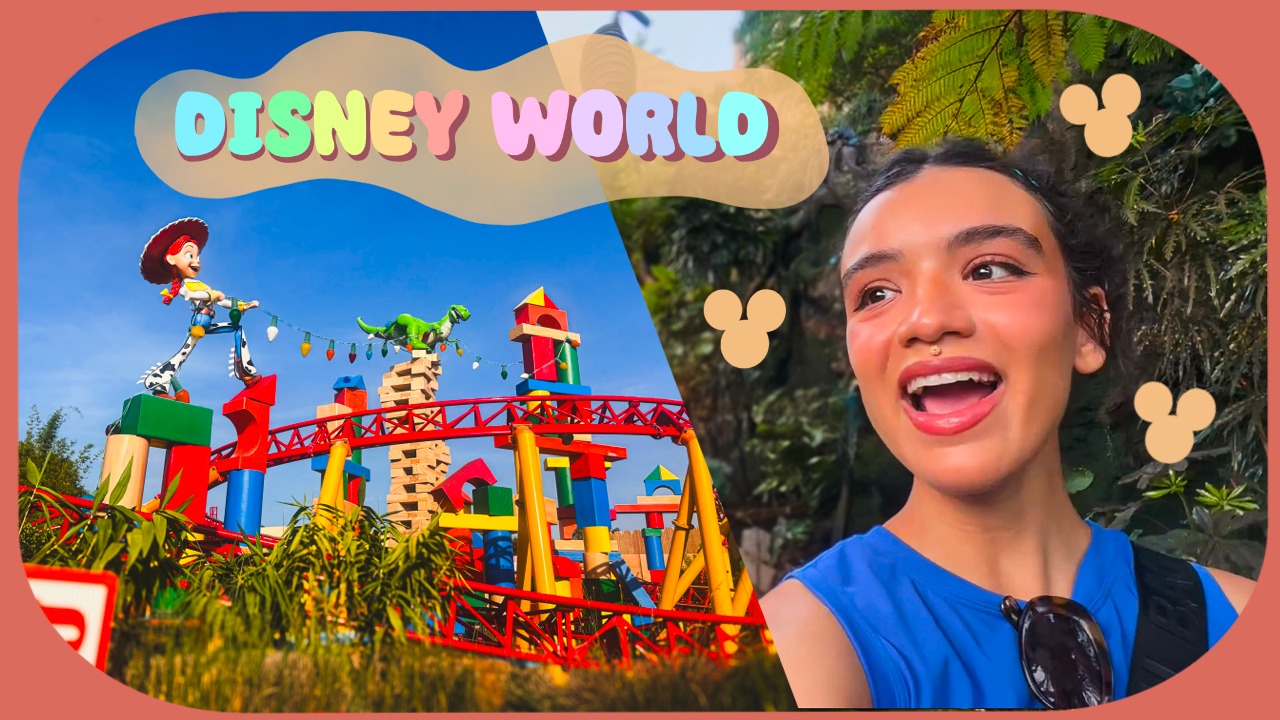 Disney World thumbnail
