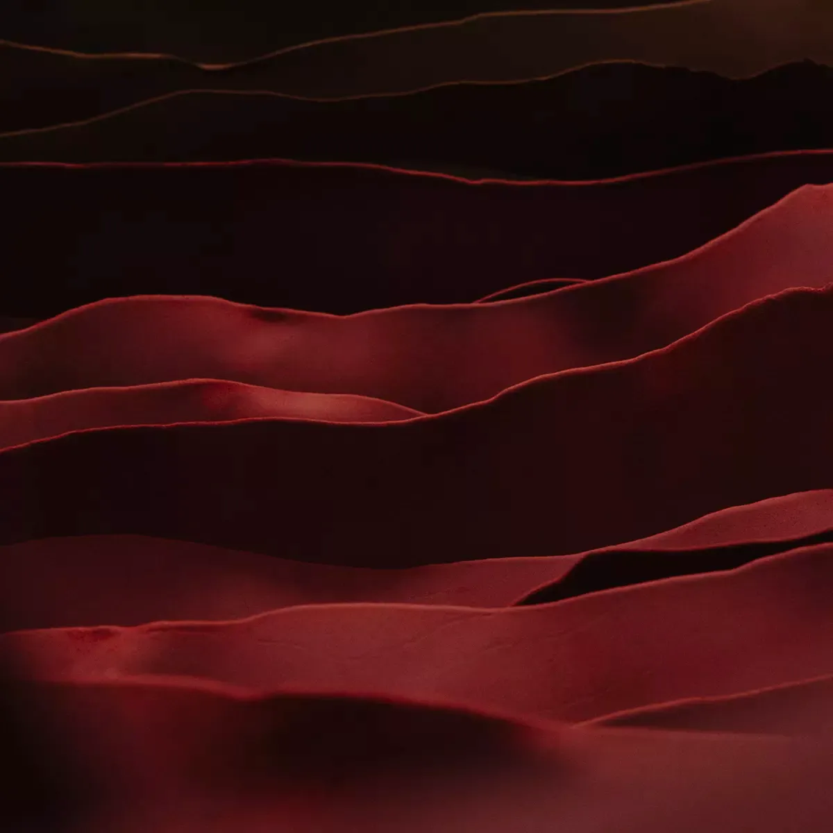 Our Leather thumbnail