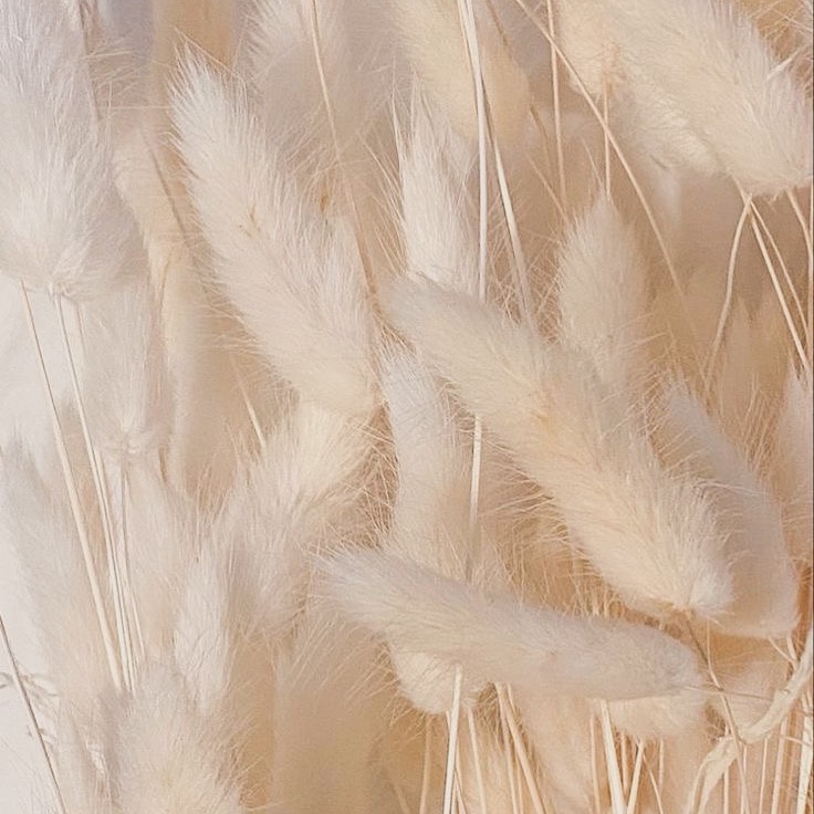 Agendamentos via whatsApp  thumbnail