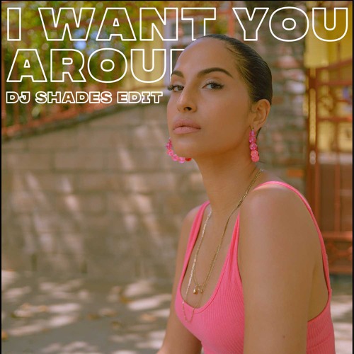 Snoh Aalegra - I Want You Around (DJ Shades Edit) thumbnail