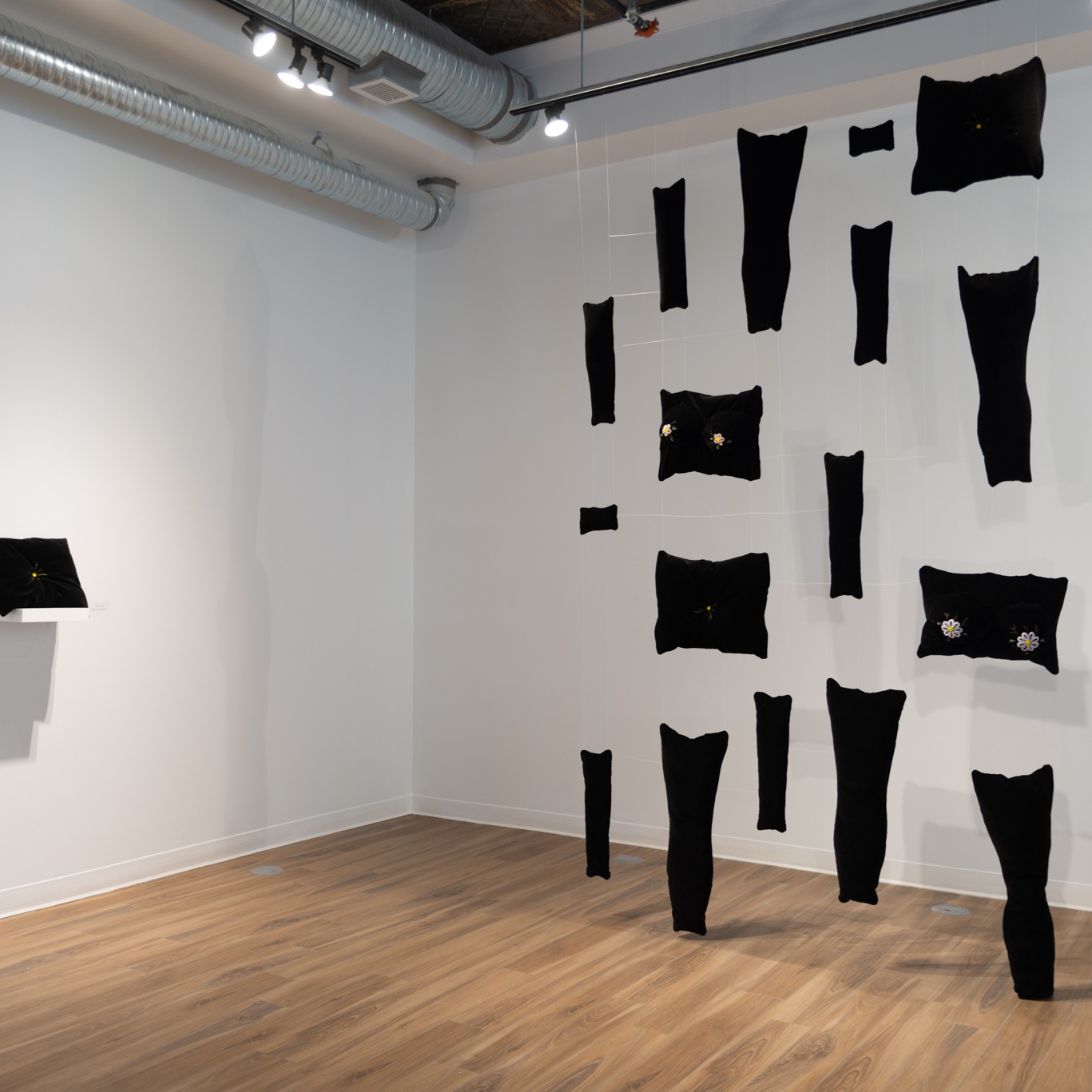 States of Self, aceartinc., 2024 thumbnail