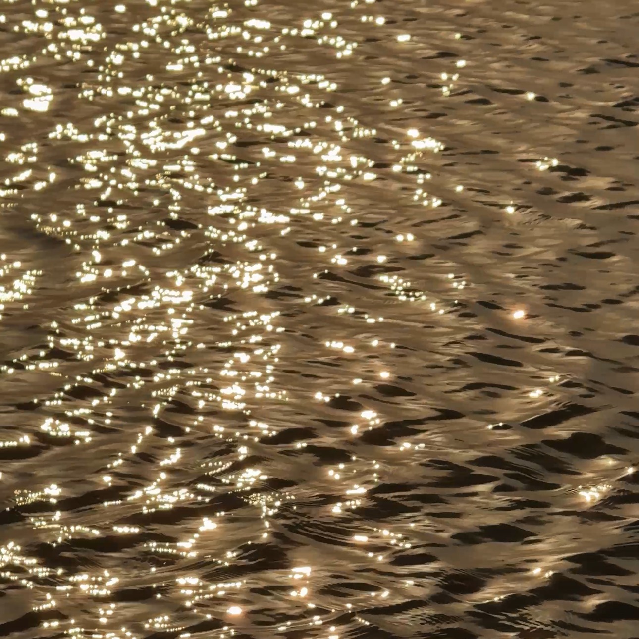 Highest Expression  thumbnail