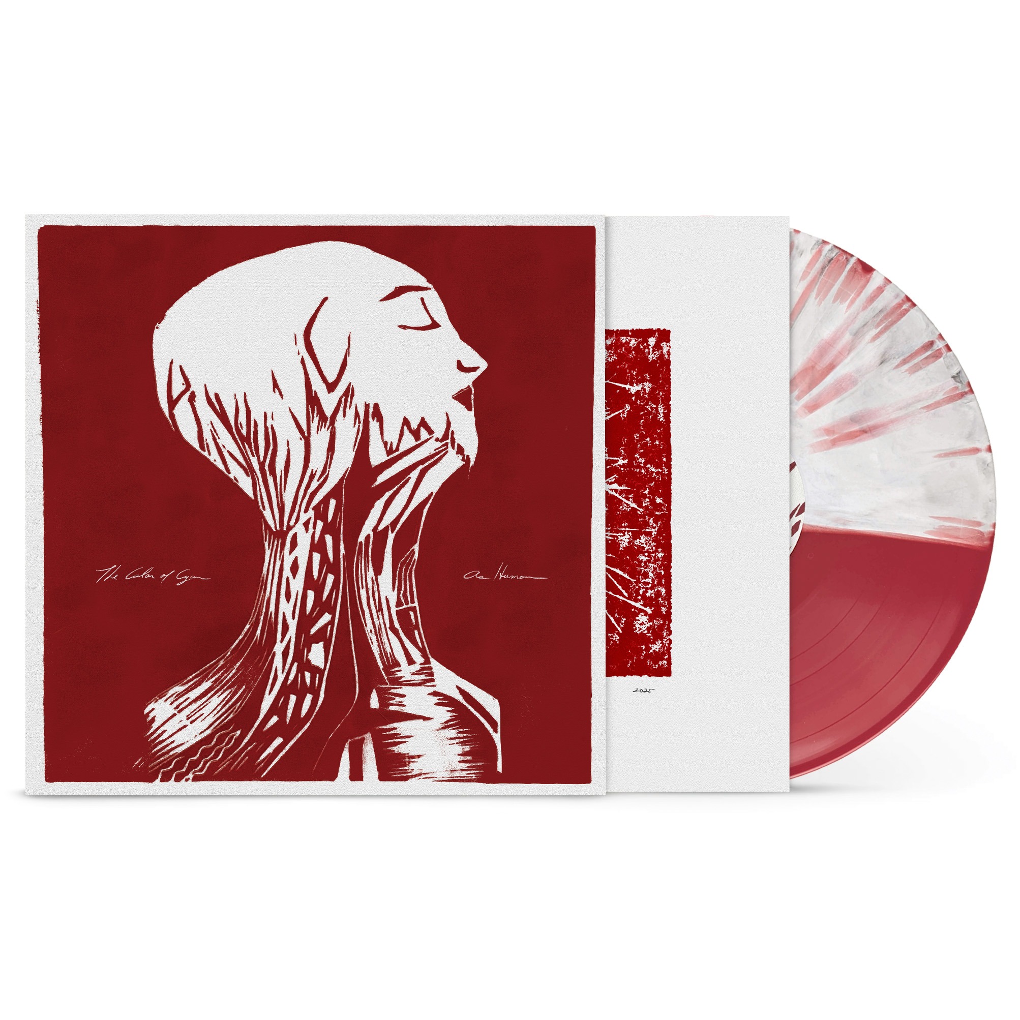 🇺🇸 U.S.A. STORE (VINYL & MERCH) 🇺🇸 thumbnail