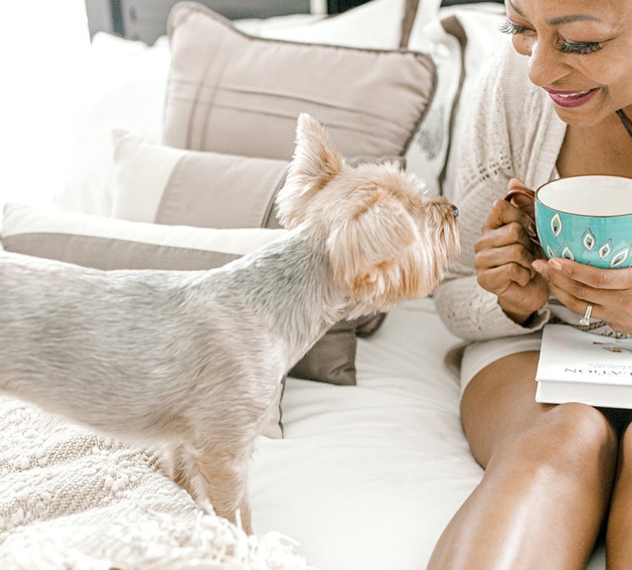 Animal Energy Clearing thumbnail