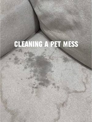 Mini size, same big power! #ad Obsessing over this Dust pink @BISSELL Clean Little Green Mini machine 🧼💕 **limited edit