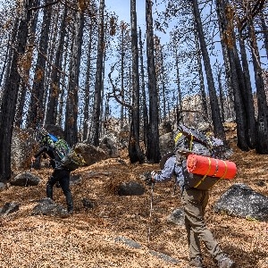 Walker Trek thumbnail