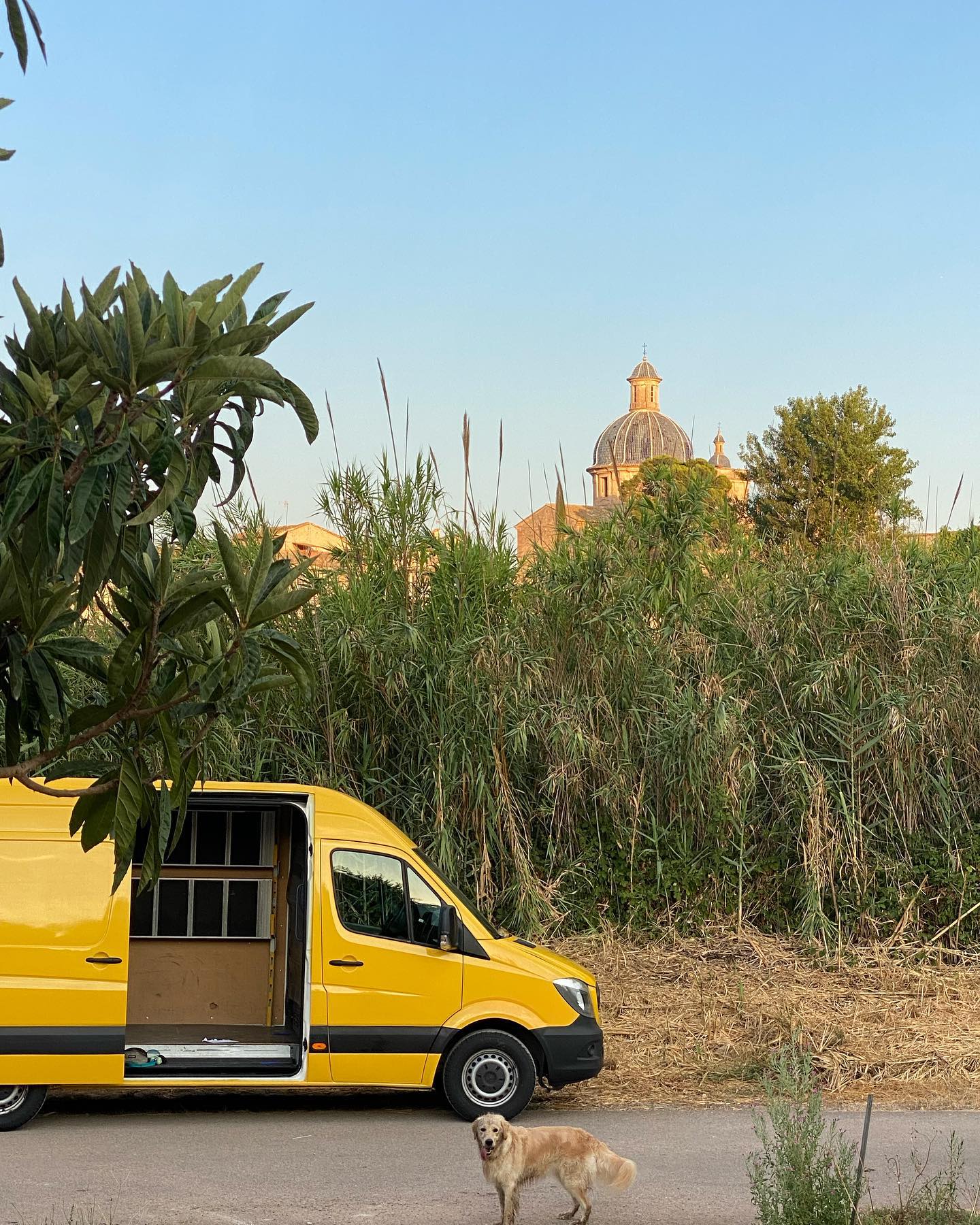 Nunca puede faltar nuestro cerdito embarrado 🤣🐾
Creo que le gusta más la furgo a ella que a nosotros 💛

#travel #travels