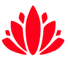 Check out my website, where I offer 1:1 coaching services specializing in trauma recovery from deep emotional wounds, and building a more positive mindset for a more fulfilling life. Start your journey toward a brighter more empowered future today! thumbnail