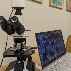 BOOK your appointment  thumbnail