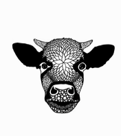 Tal-O Skin Care thumbnail