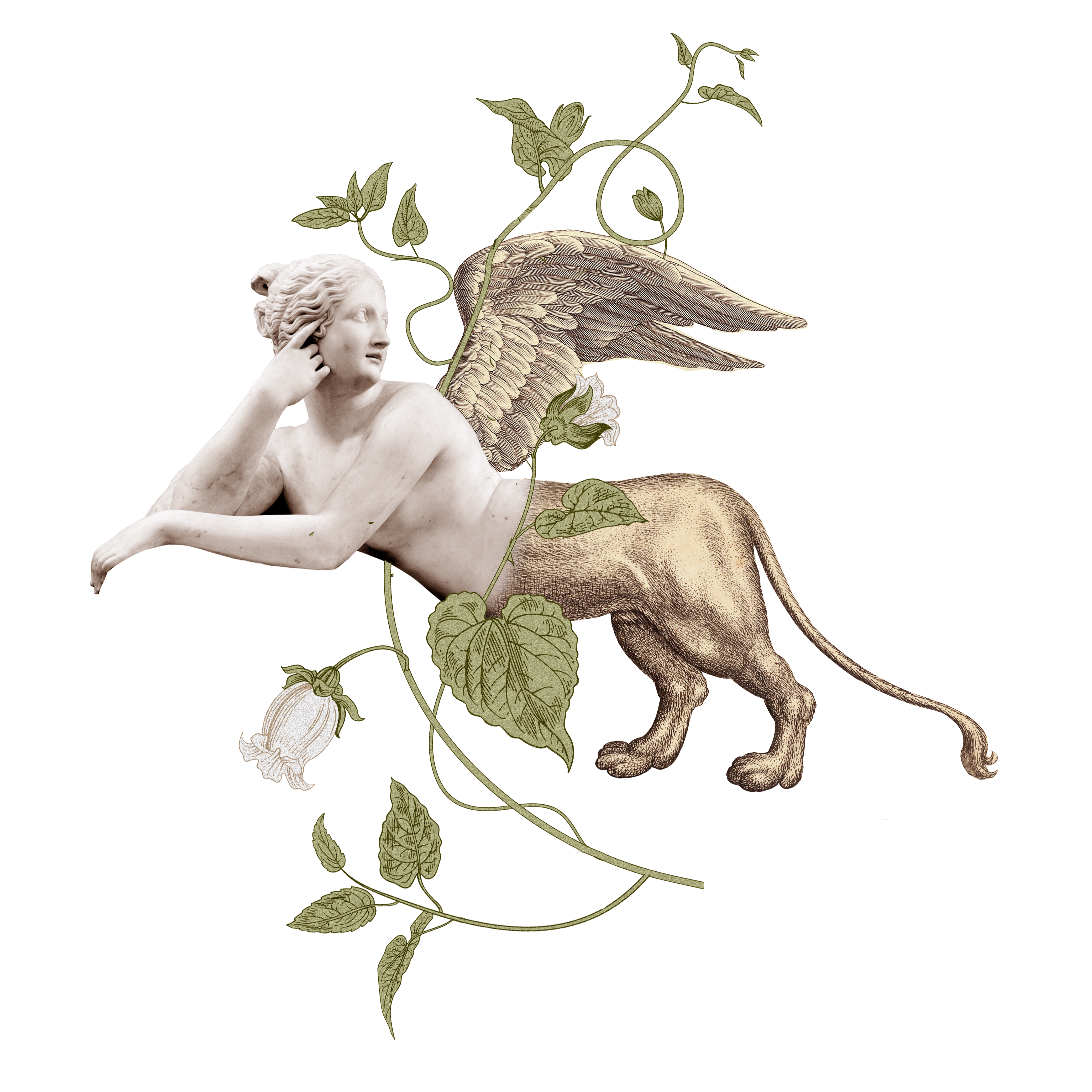 Become a Member: Year of Myths Program thumbnail