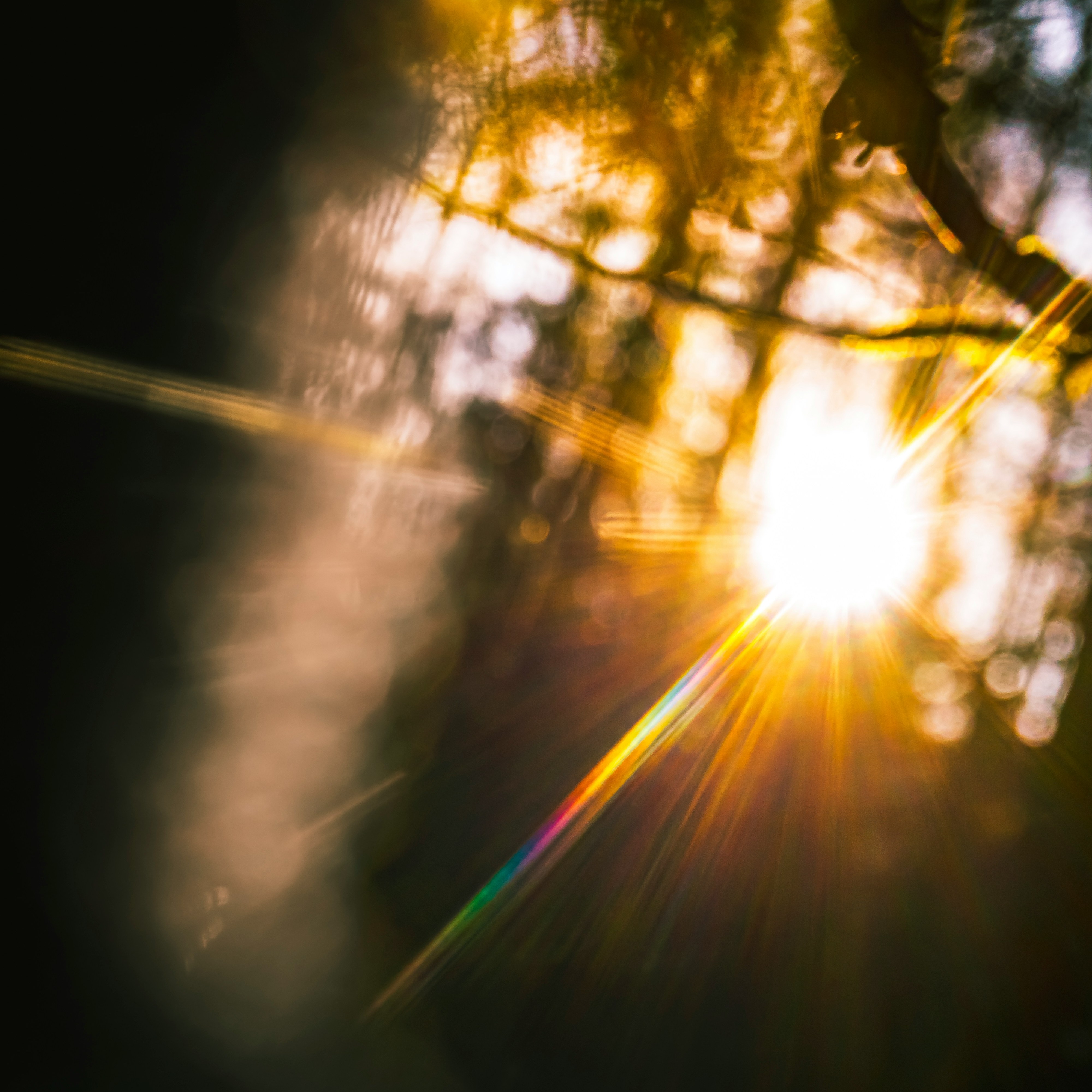 Transformational Healing Packages thumbnail