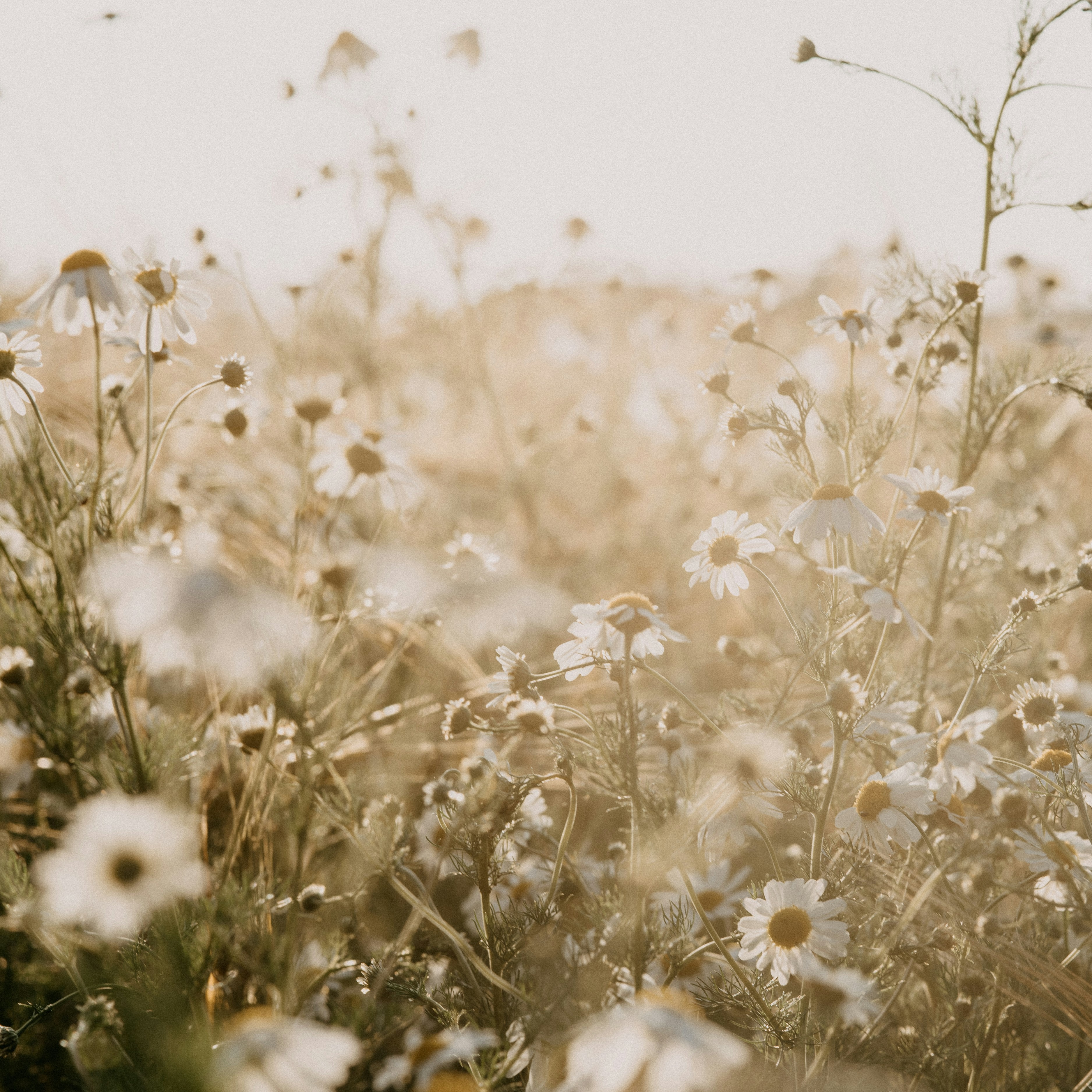 Healing Sessions & Packages thumbnail