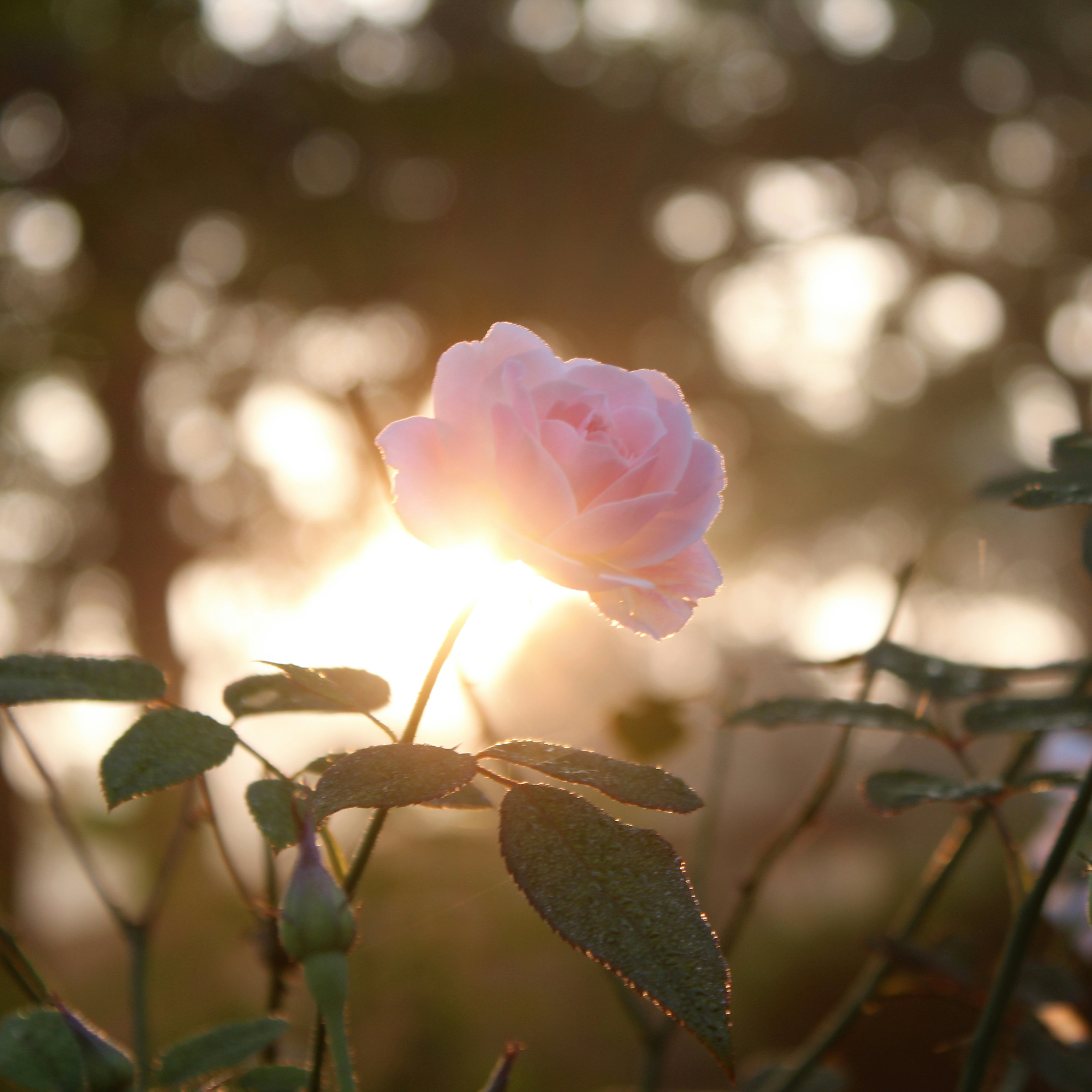 Classes & Events thumbnail