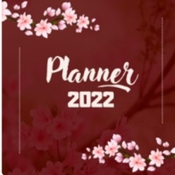 Planner- Para Você Se Organizar e Ser Mais Produtiva thumbnail