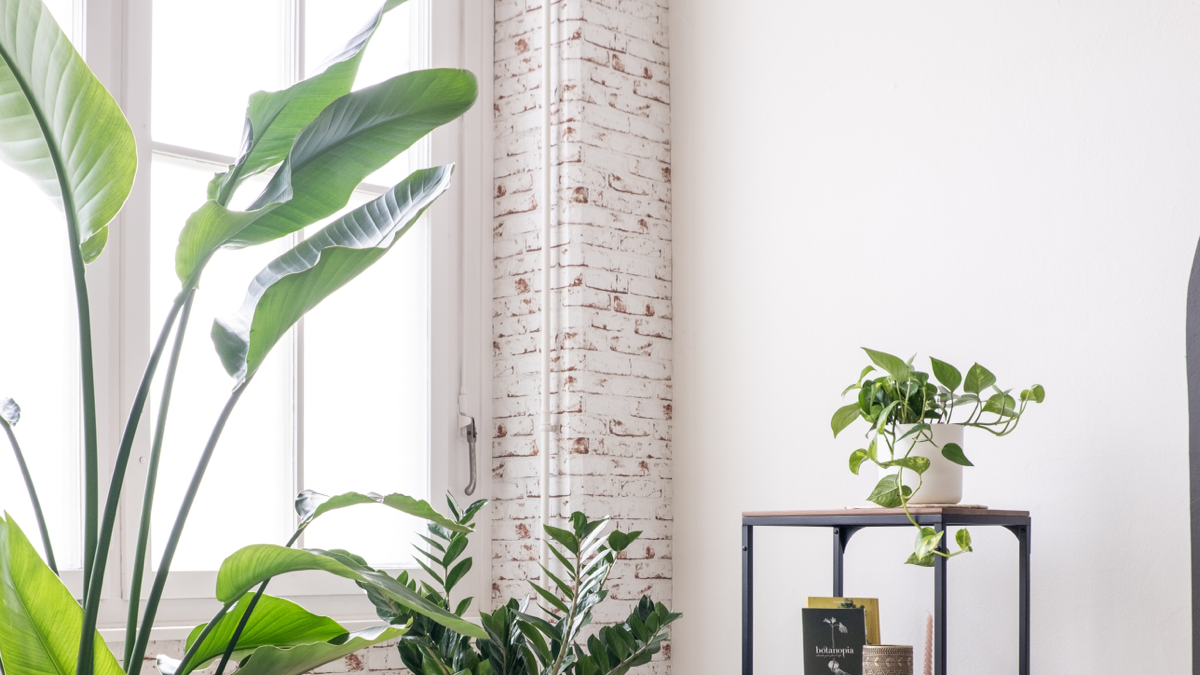 BioSite banner for @fruitful