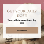 Doggie Care Zone Blog thumbnail