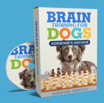 Brain Training For Dogs thumbnail