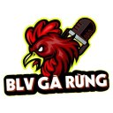 @blvgarungcom · BLV GÀ RỪNG thumbnail