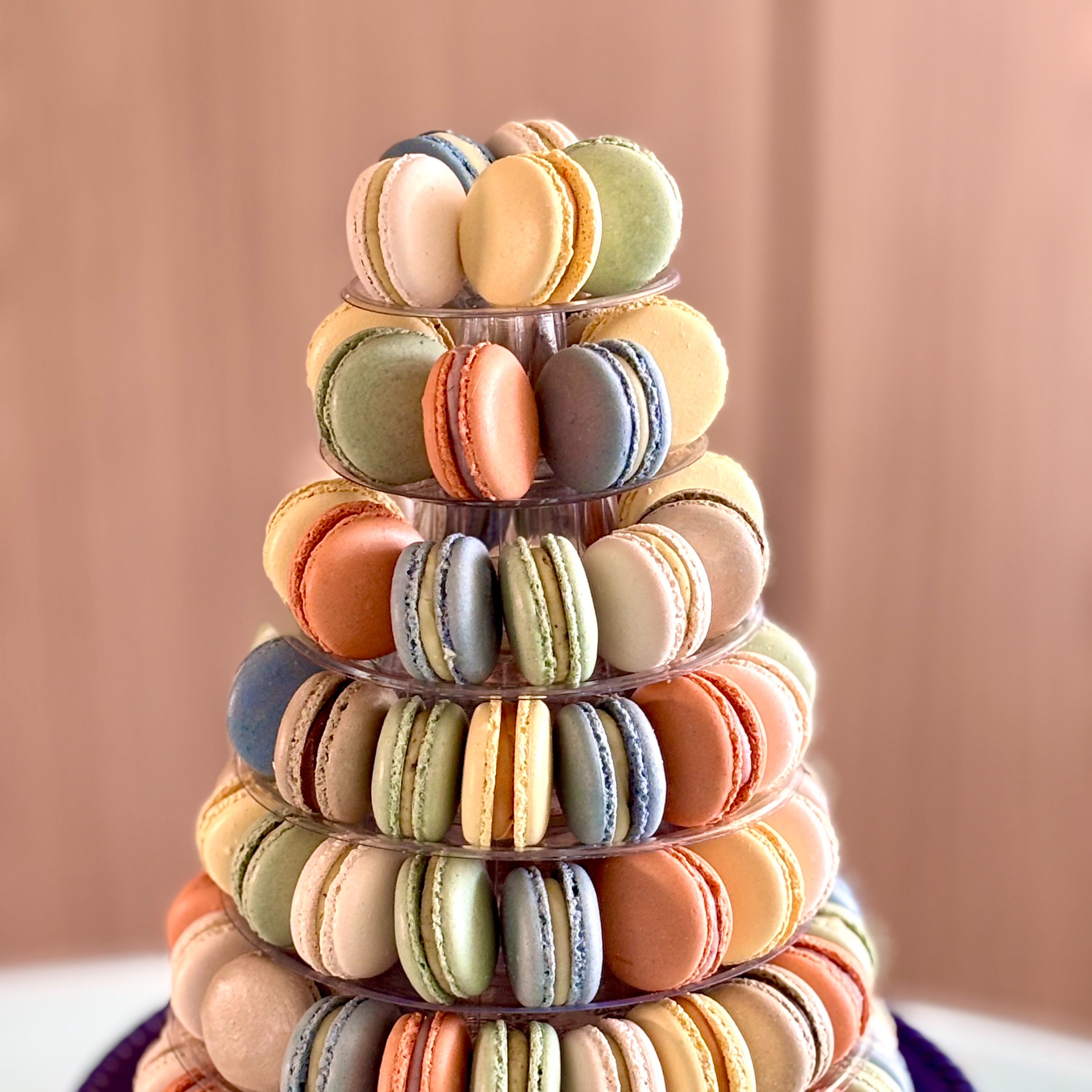 Catálogo de Pintados e Torres thumbnail