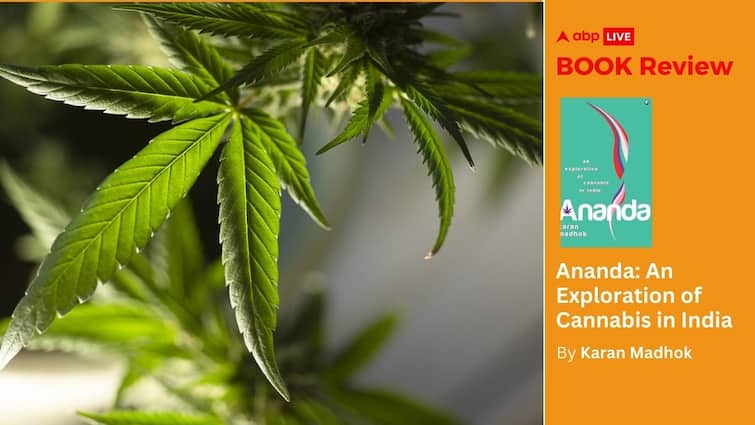 ABP Live: Karan Madhok’s ‘Ananda…’ Explores India’s Enigmatic Relationship With Cannabis thumbnail