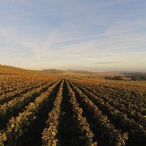 Notre site thumbnail