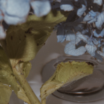 moodboard instagram thumbnail