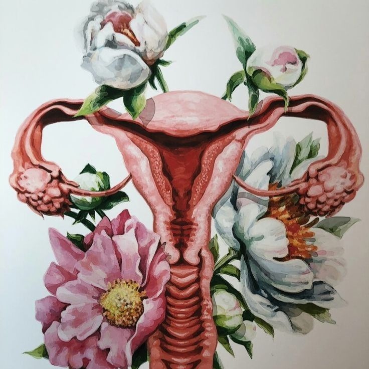 DOWNLOAD FREE Womb Meditation thumbnail