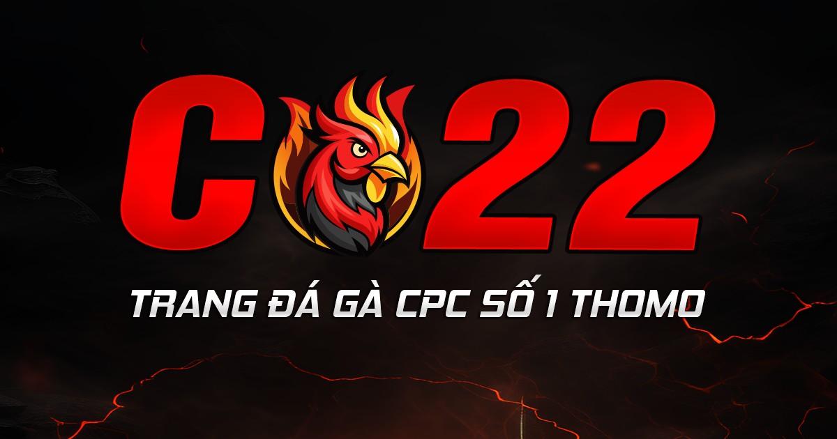 C22 thumbnail