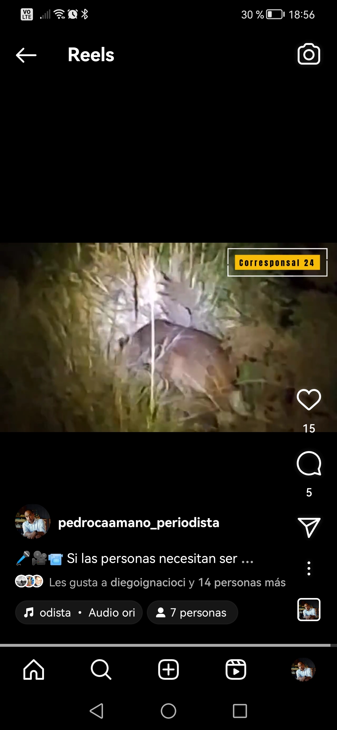 Temor en el sector Metri: Residentes buscan soluciones ante la presencia de pumas thumbnail