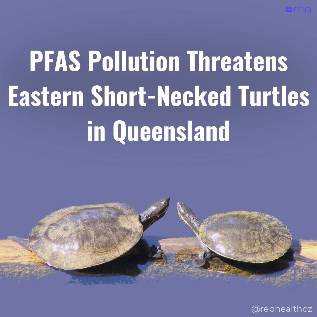 Metabolic disruptions and impaired reproductive fitness in wild-caught freshwater turtles (Emydura macquarii macquarii) exposed to elevated per- and polyfluoroalkyl substances (PFAS) thumbnail