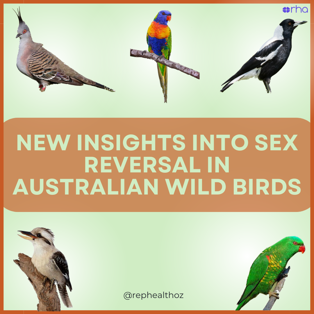 Prevalence and implications of sex reversal in free-living birds thumbnail