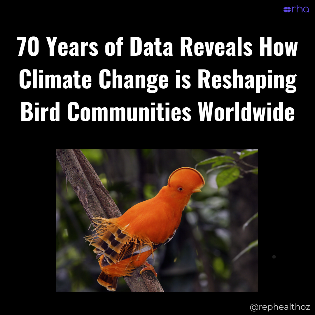 Large reductions in tropical bird abundance attributable to heat extreme intensification - Nature Ecology & Evolution thumbnail