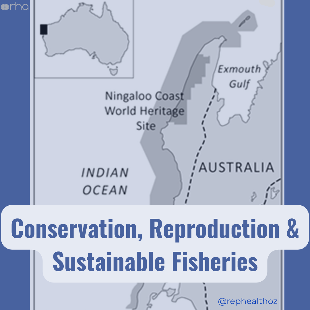 A fine-scale fish population model reveals how integration of spatial and temporal management can maximise conservation and fisheries benefits thumbnail