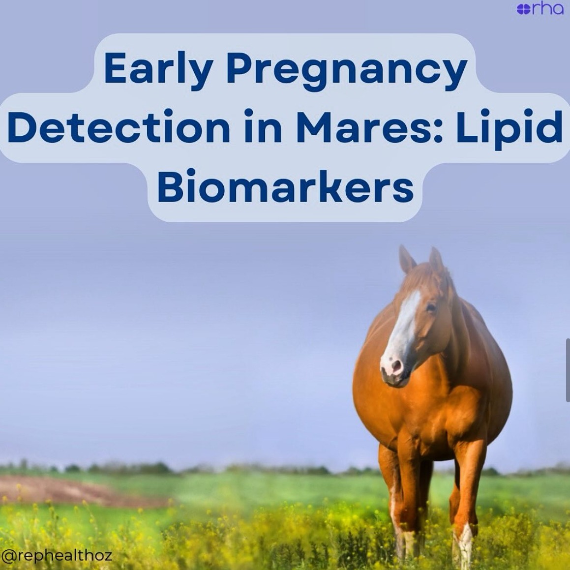 Plasma Lipidomics Reveals Lipid Signatures of Early Pregnancy in Mares thumbnail