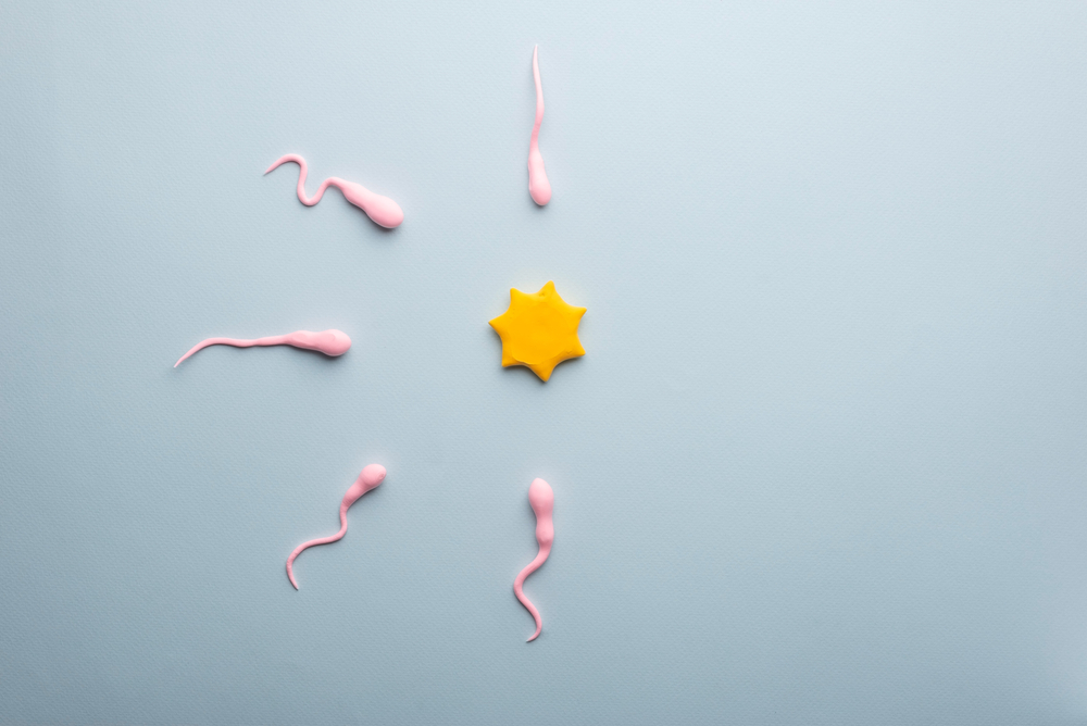 Why Has the Male Reproductive System Evaded Birth Control? thumbnail