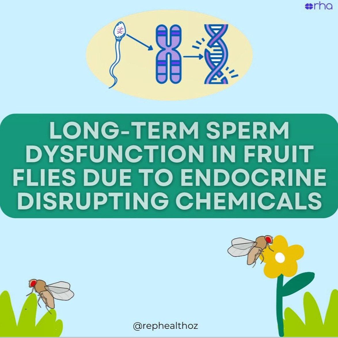 Ancestral lineages of dietary exposure to an endocrine disrupting chemical drive distinct forms of transgenerational subfertility in an insect model thumbnail