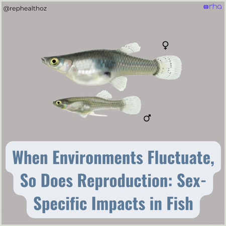 Developmental environment and age shape macronutrient allocation to eggs and ejaculates thumbnail
