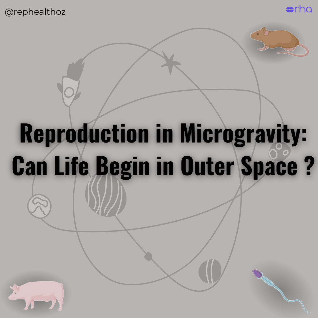 Simulated microgravity alters sperm navigation, fertilization and embryo development in mammals - Communications Biology thumbnail
