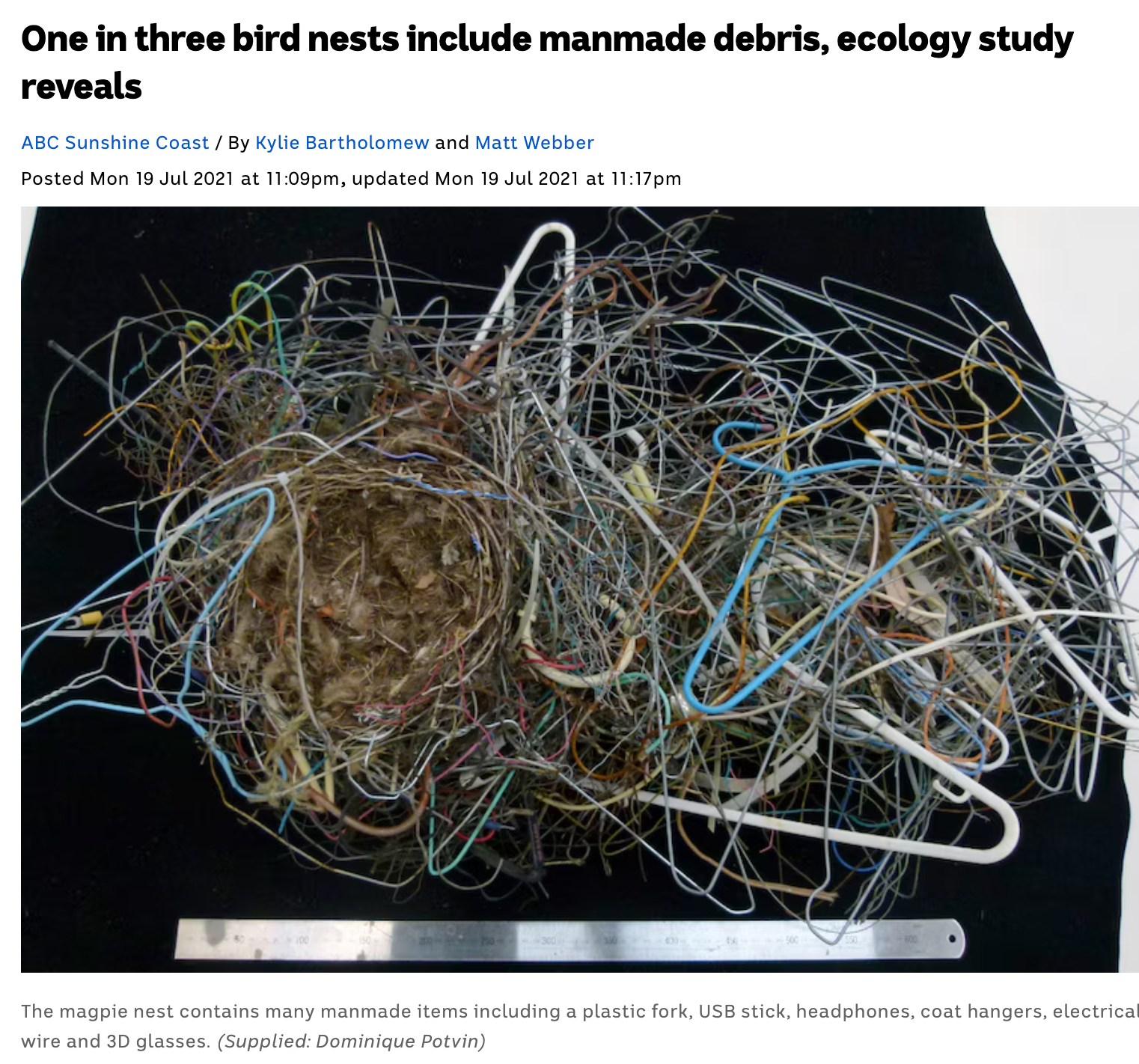 One in three bird nests include manmade debris, ecology study reveals - ABC News thumbnail