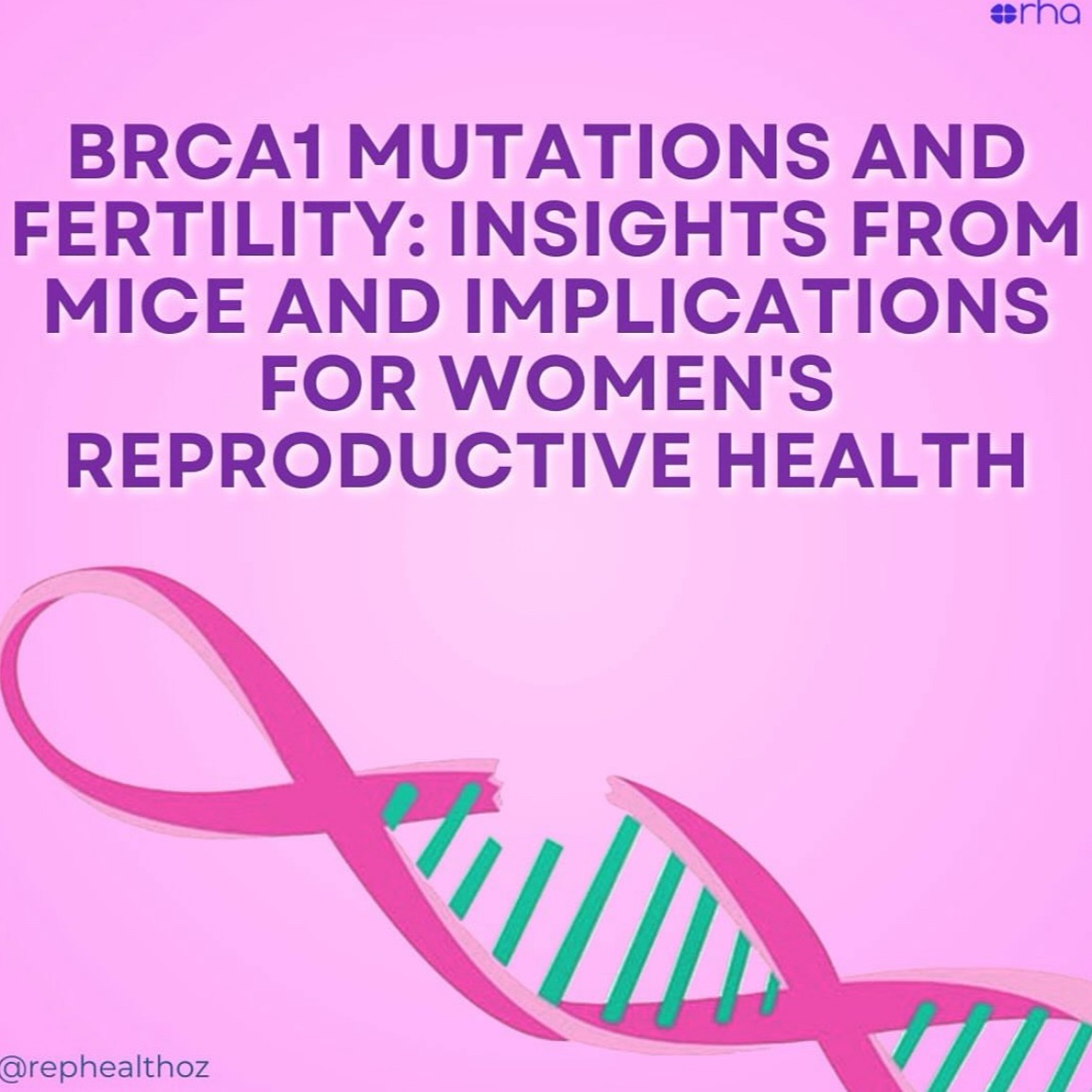 Conditional loss of Brca1 in oocytes causes reduced litter size, ovarian reserve depletion and impaired oocyte in vitro maturation with advanced reproductive age in mice thumbnail