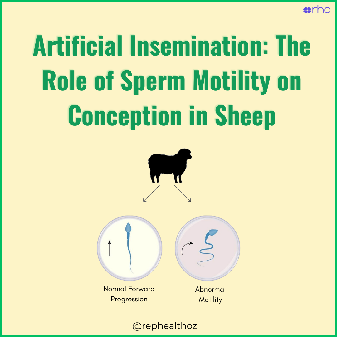 THE INFLUENCE OF SPERMATOZOAL MOTILITY ON CONCEPTION AND PREGANCY STATUS FOLLOWING ARTIFICIAL INSEMINATION IN SHEEP thumbnail