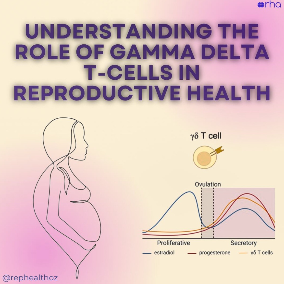 Gamma delta (γδ) T cells in the female reproductive tract: active participants or indifferent bystanders in reproductive success? thumbnail