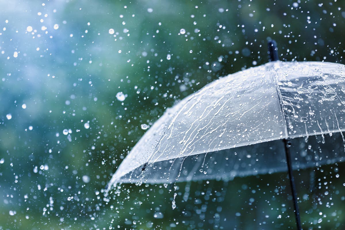 Rainwater everywhere on Earth contains cancer-causing ‘forever chemicals’ thumbnail