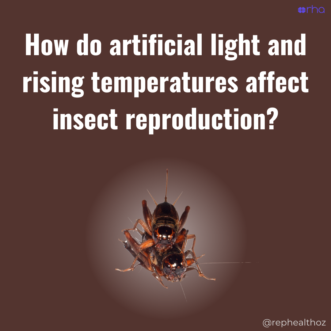 Artificial light at night and temperature as combined stressors on the development, life-history, and mating behaviour of the Pacific field cricket, Teleogryllus oceanicus thumbnail