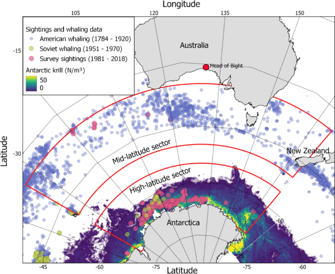 Climate-driven reproductive decline in Southern right whales - Scientific Reports thumbnail