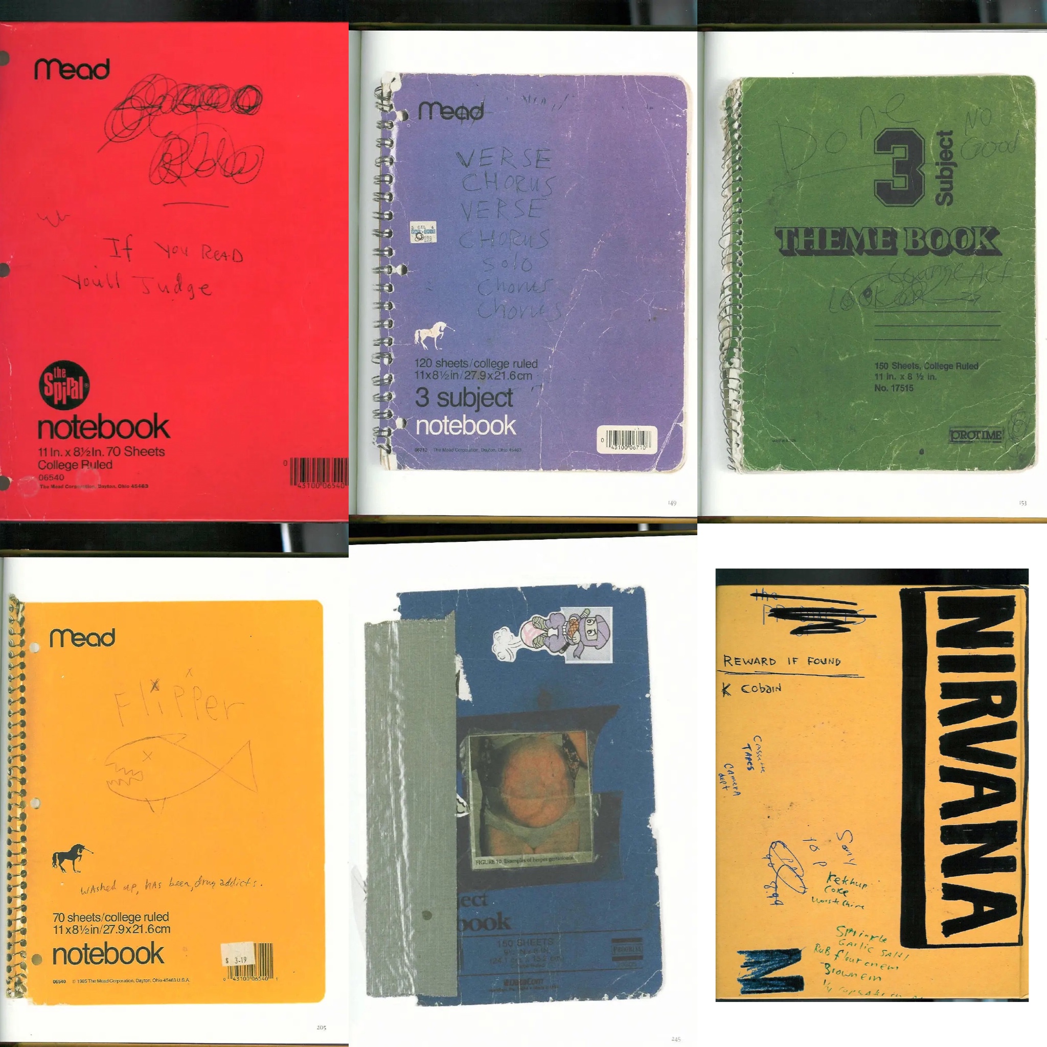 click to access Kurt cobain diaries thumbnail