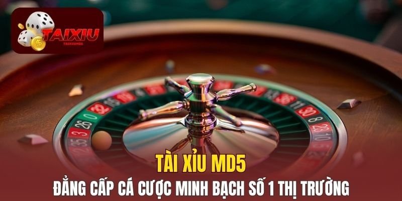 Tài Xỉu MD5 🌟 Tài Xỉu Online Uy Tín Hàng Đầu thumbnail