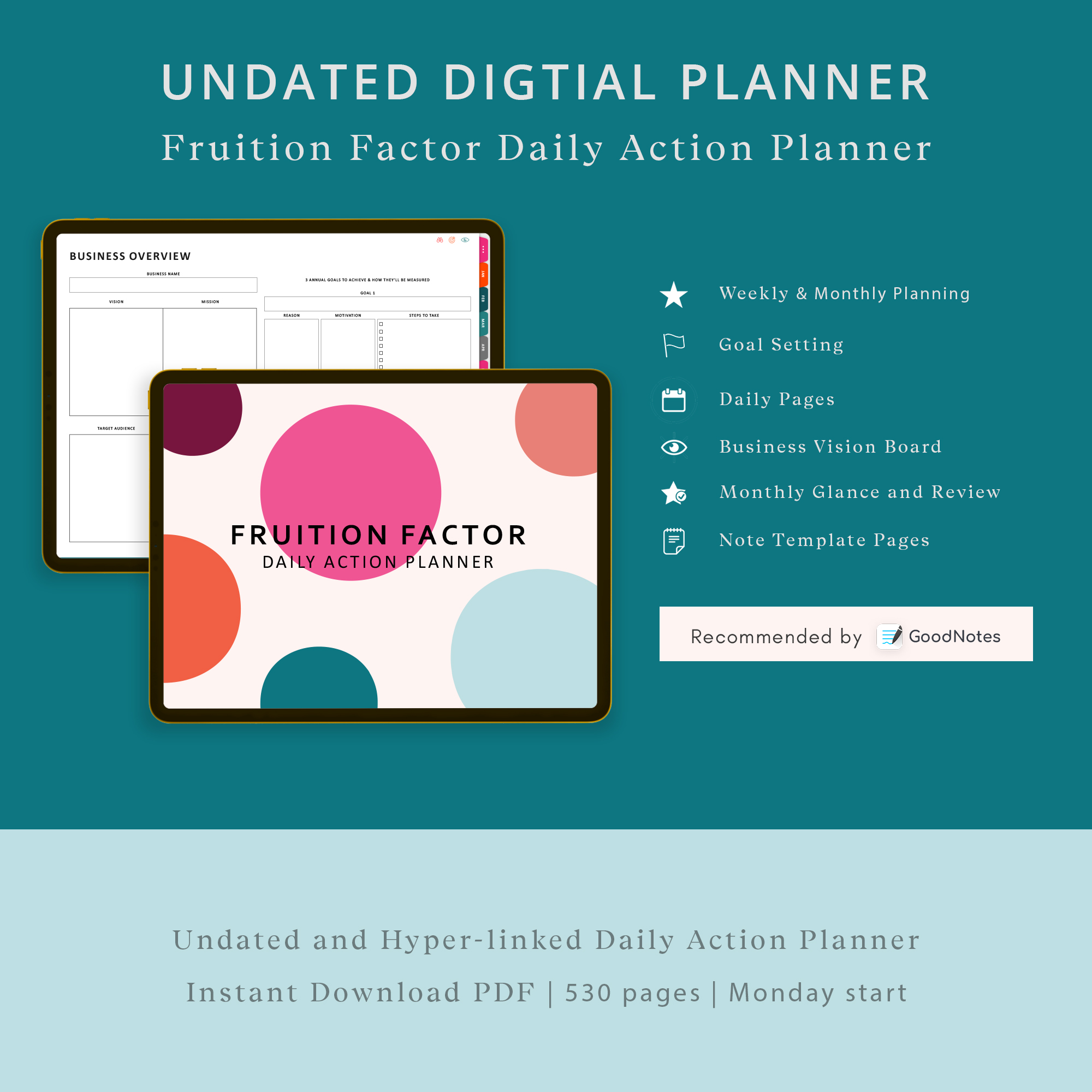 Fruition Factor Action Planner for Entrepreneurs & Business Owners thumbnail