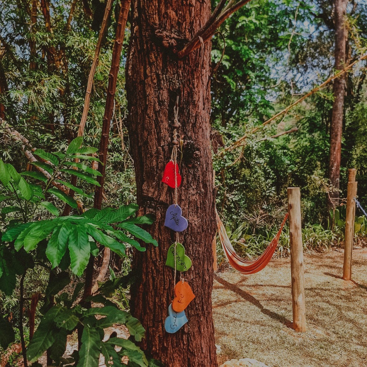 Regulamento e Políticas | Pousada Do Rodrigo thumbnail